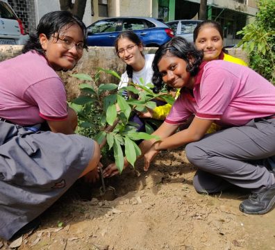 Middle wing-Tree Plantation-2
